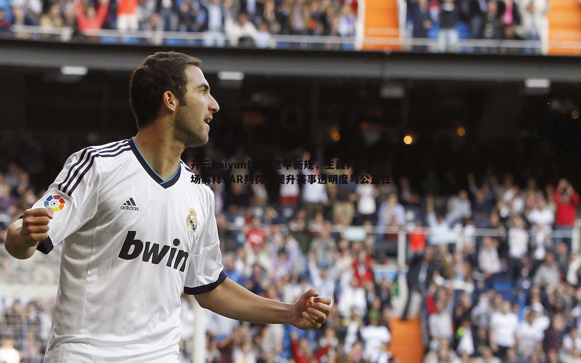 意甲新规,主裁判现场解释VAR判罚,提升赛事透明度与公正性